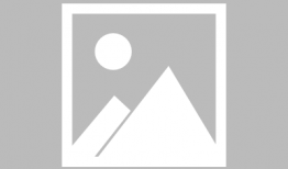 西川结衣视频,镜头下的魅力与故事